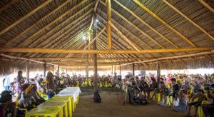 Manifesto Piaraçu exige respeito aos direitos indígenas