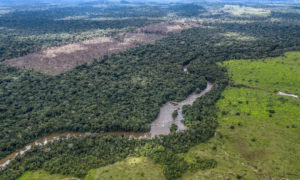 Medo do coronavírus enfraquece proteção da Amazônia pouco antes da temporada de queimadas