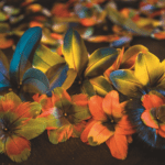 flores laranjas, amarelas e azuis na Amazônia