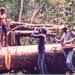 amazônia roteiros david pennington bodanzky