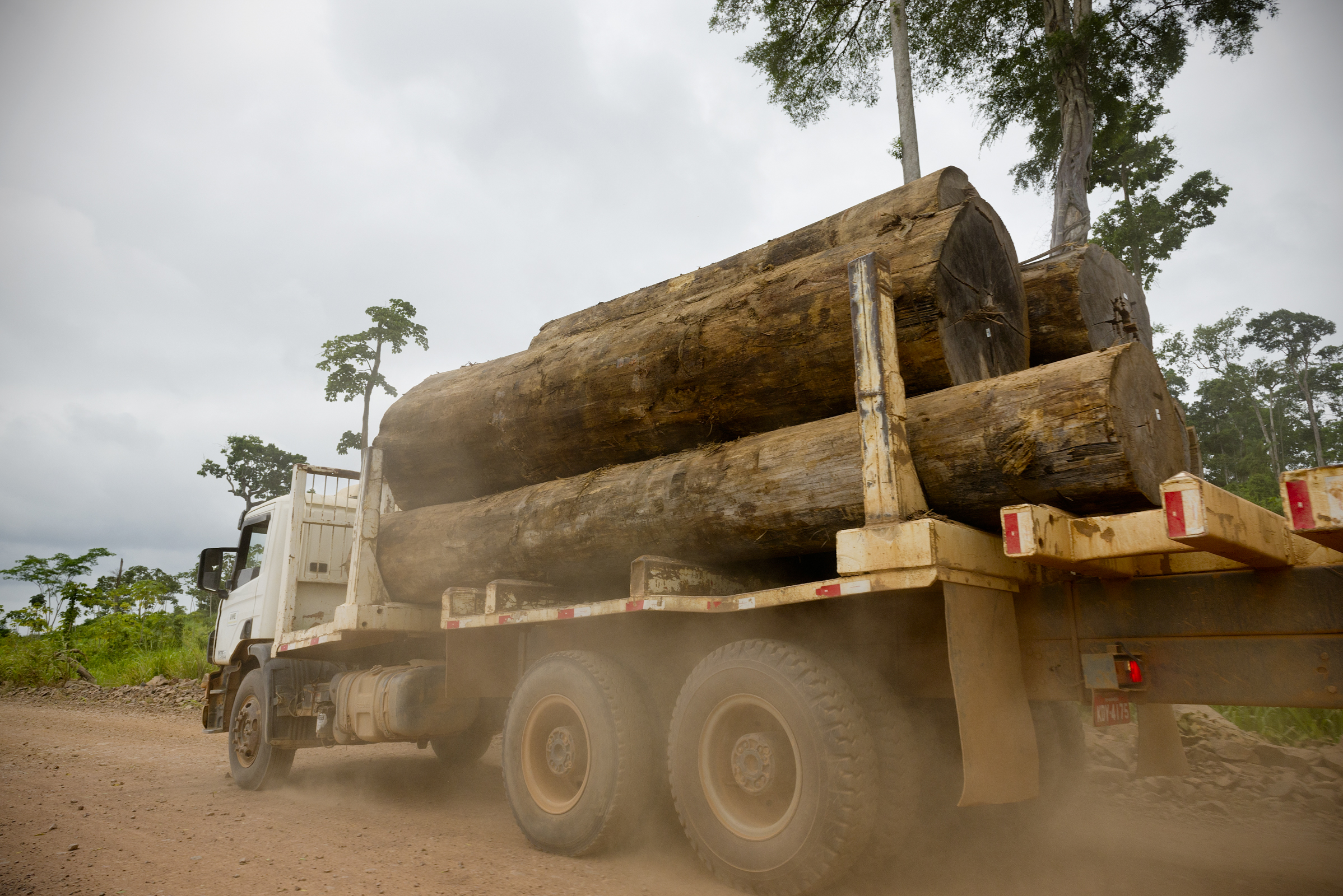 política socioambiental madeira