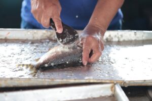 Estudo da UFAM mapeia dificuldades enfrentadas por pescadores artesanais em Novo Airão