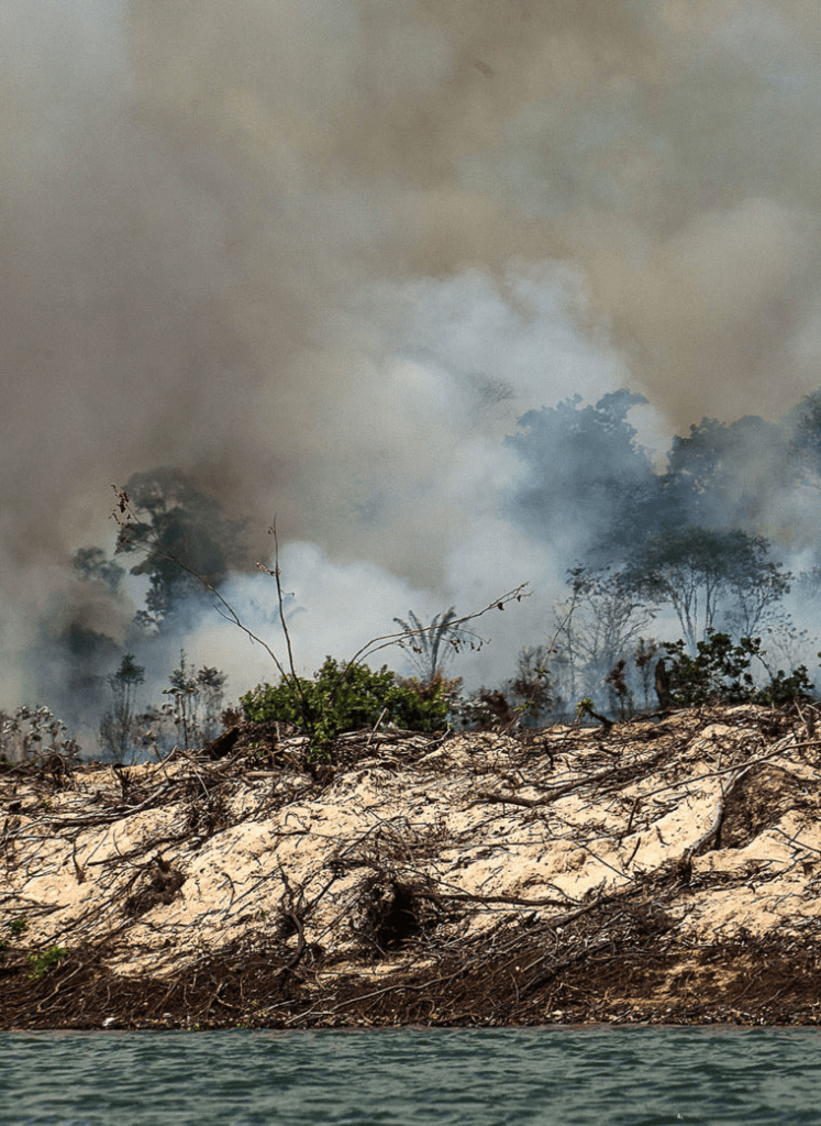 foto de uma floresta queimando